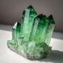 Green Phantom